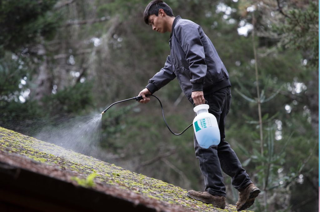 Eco-Friendly, Low-Pressure Wash