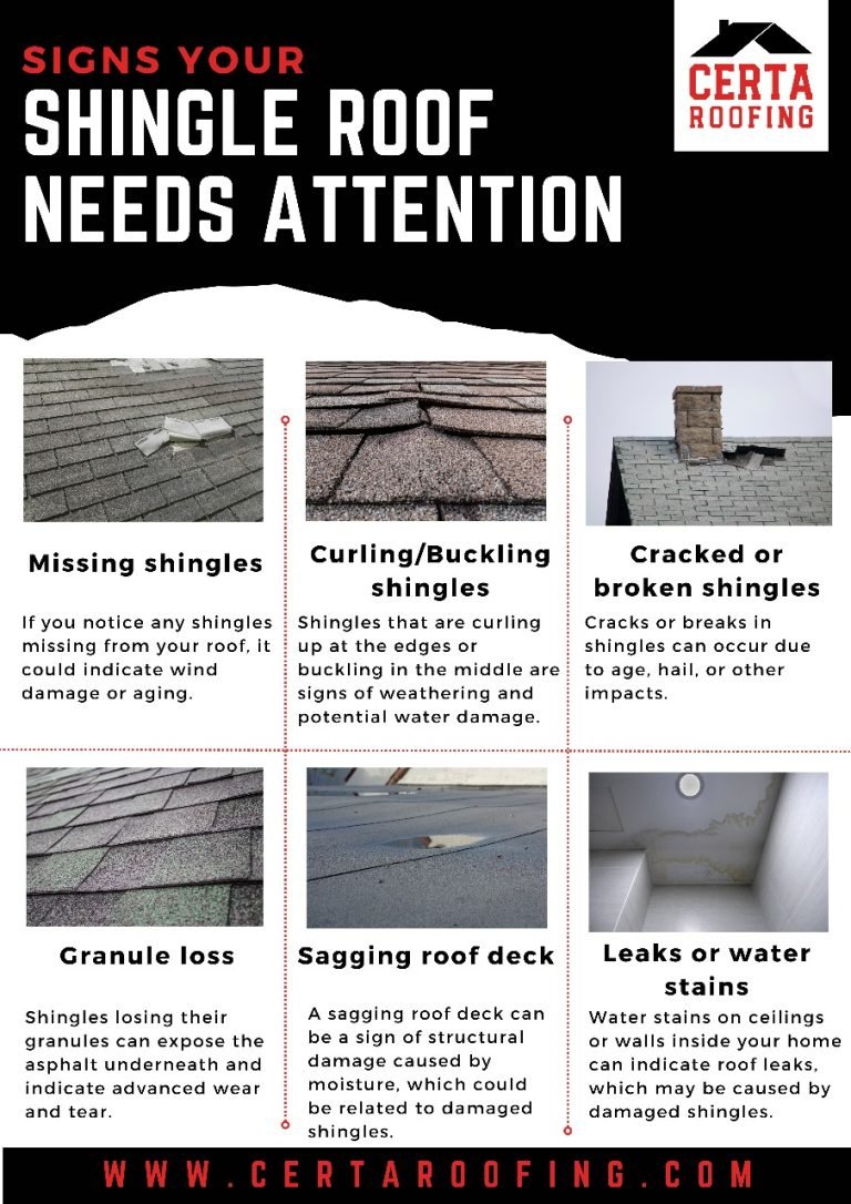 infographic Signs Your Shingle Roof Needs Attention