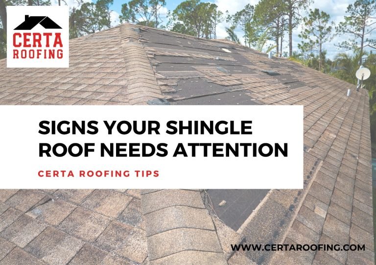 signs your shingle roof needs attention