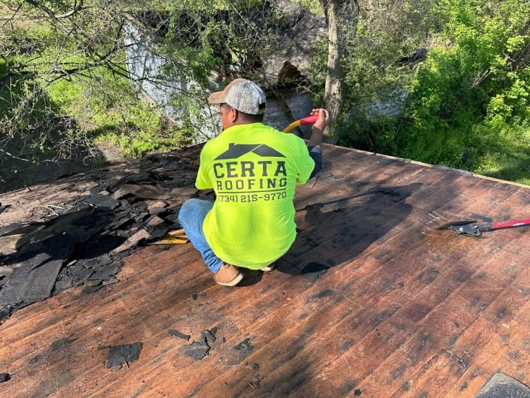 Shingle Roof Replacement